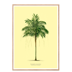 Vintage palme plakat. lys gul