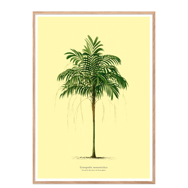 Vintage palme plakat. lys gul