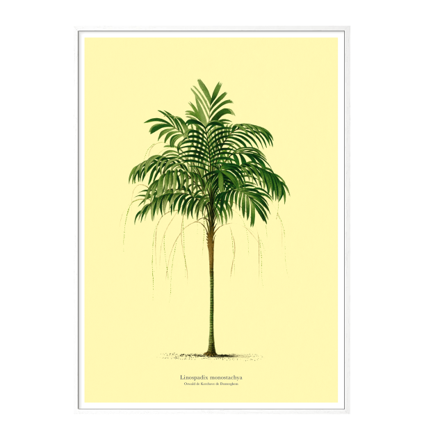 Vintage palme plakat. lys gul