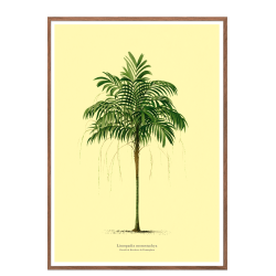Vintage palme plakat. lys gul