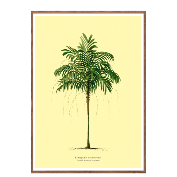 Vintage palme plakat. lys gul