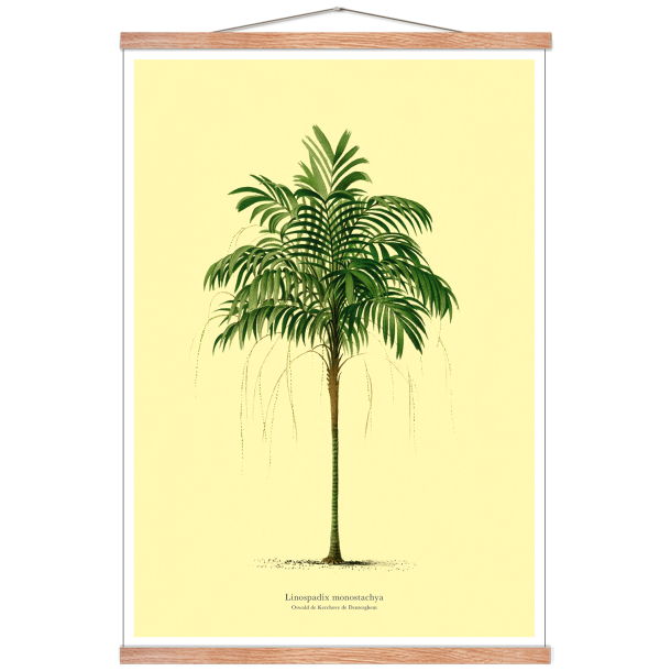 Vintage palme plakat. lys gul