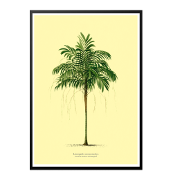 Vintage palme plakat. lys gul