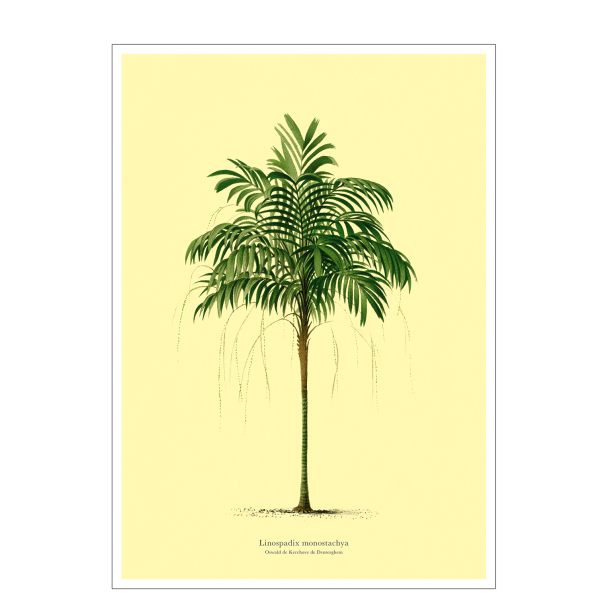 Vintage palme plakat. lys gul