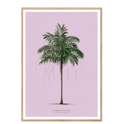 Vintage palme plakat. Lilla