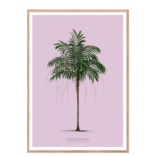 Vintage palme plakat. Lilla