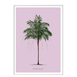 Vintage palme plakat. Lilla