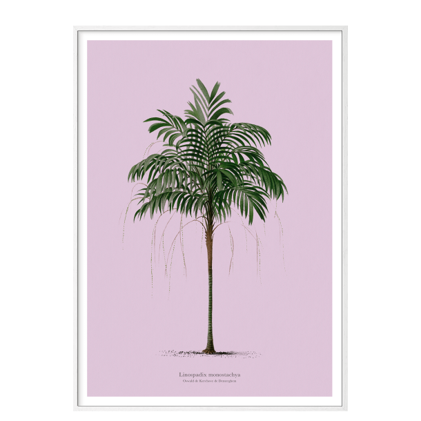 Vintage palme plakat. Lilla