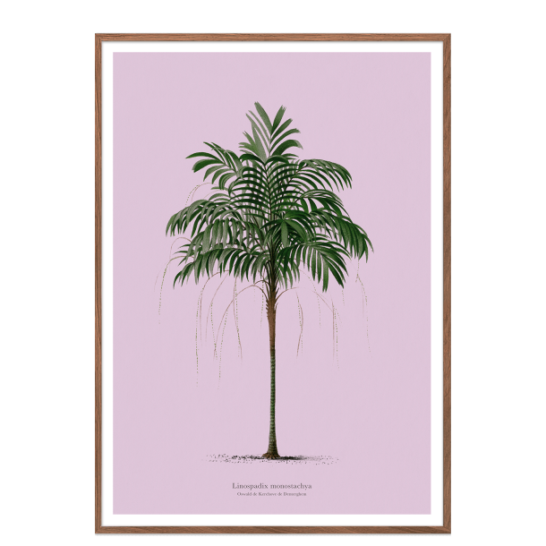 Vintage palme plakat. Lilla