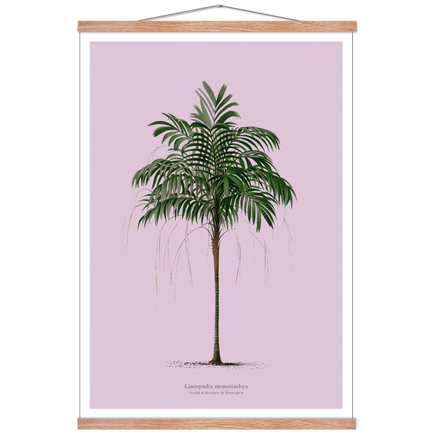 Vintage palme plakat. Lilla