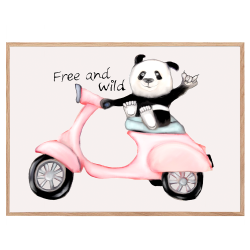 Panda auf Motorroller - Poster mit Tieren