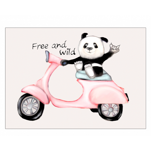 Panda p scooter - Plakat med dyr