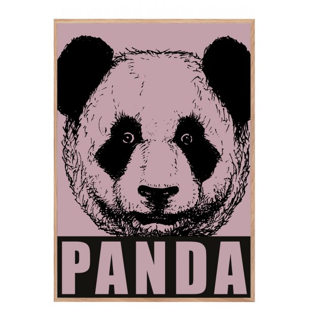 Panda, gammel rosa. Sebastian Klein