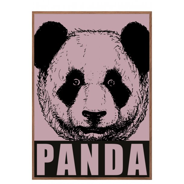 Panda, gammel rosa. Sebastian Klein