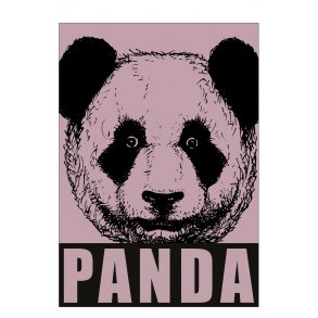 Panda, altrosa. Sebastian Klein