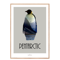 Pentarctic. Design poster with animal.
