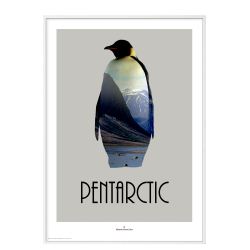 Pentarctic. Design poster with animal.