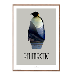 Pentarctic. Design poster with animal.