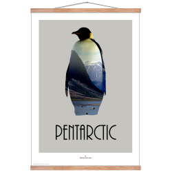 Pentarctic. Design poster with animal.