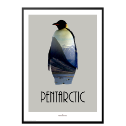 Pentarctic. Design poster with animal.