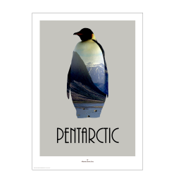 Pentarctic. Design poster with animal.