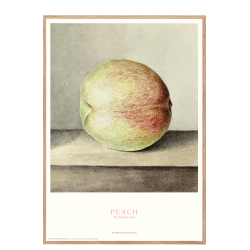 Peach - Jean Bernard
