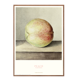 Peach - Jean Bernard