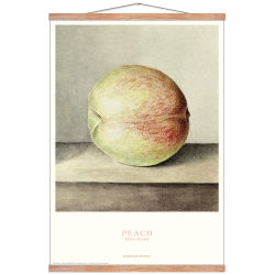 Peach - Jean Bernard