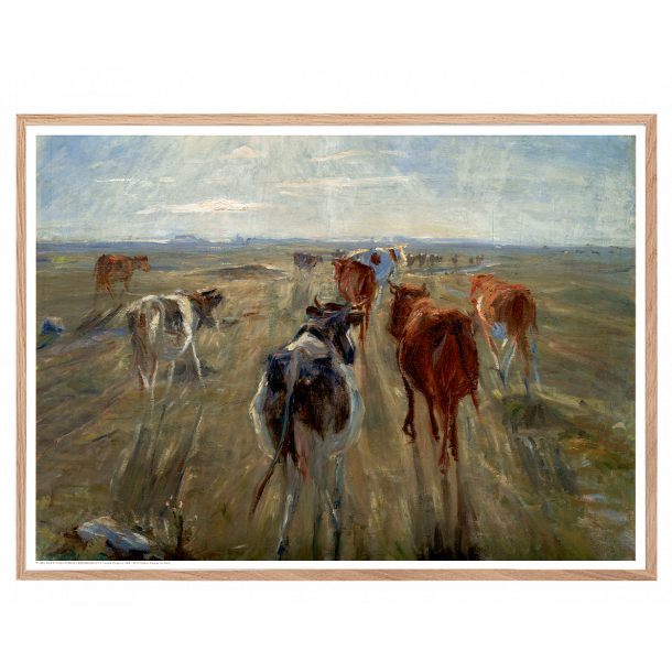 Philipsen, Kvg p Saltholm