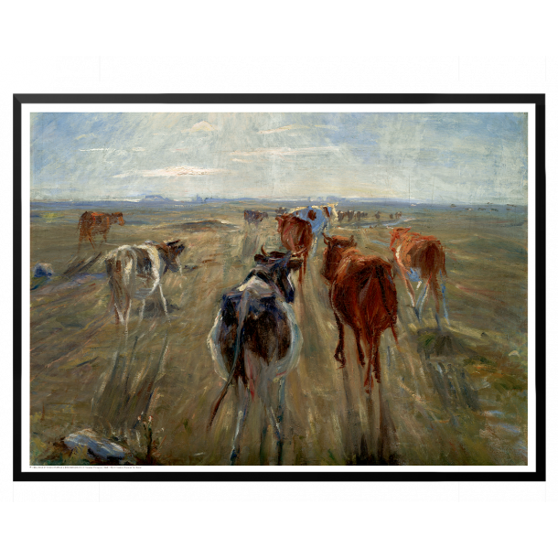 Philipsen, Kvg p Saltholm