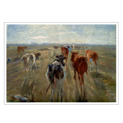 Philipsen, Cattle at Saltholm