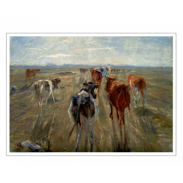 Philipsen, Cattle at Saltholm