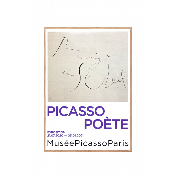 Picasso Poète