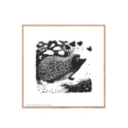 Hedgehog on the forest floor, Aage Sikker Hansen