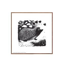 Hedgehog on the forest floor, Aage Sikker Hansen