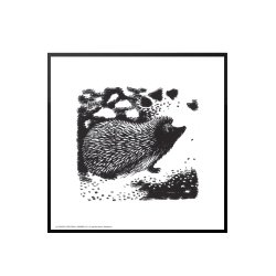 Hedgehog on the forest floor, Aage Sikker Hansen