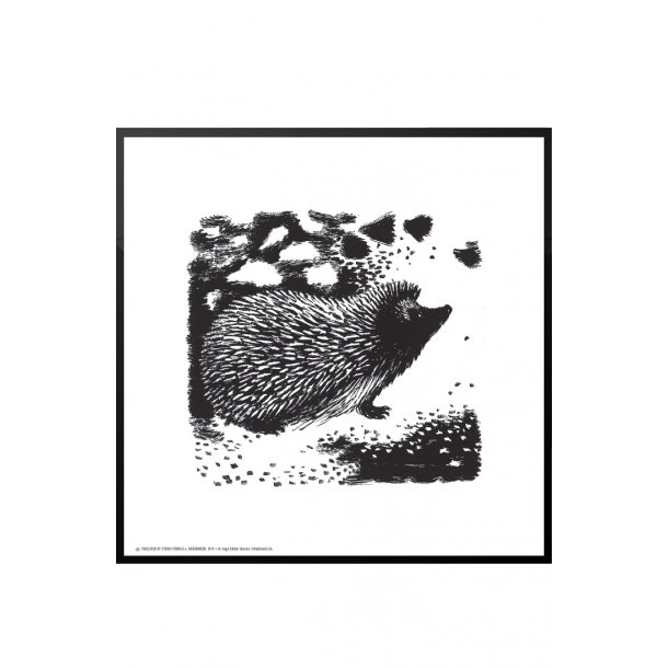 Pindsvin i skovbunden, Aage Sikker Hansen