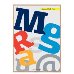 Sndergaard, Signa Slab Pro