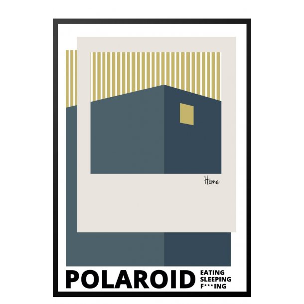 Polaroid  Eating, Sleeping, F***ing, Blue