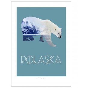 Isbjrn | Polaska. Designplakat med dyr.