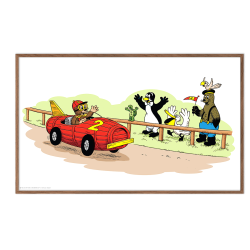 Rasmus Klump, racerkrer