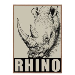 Nsehorn. Sebastian Klein