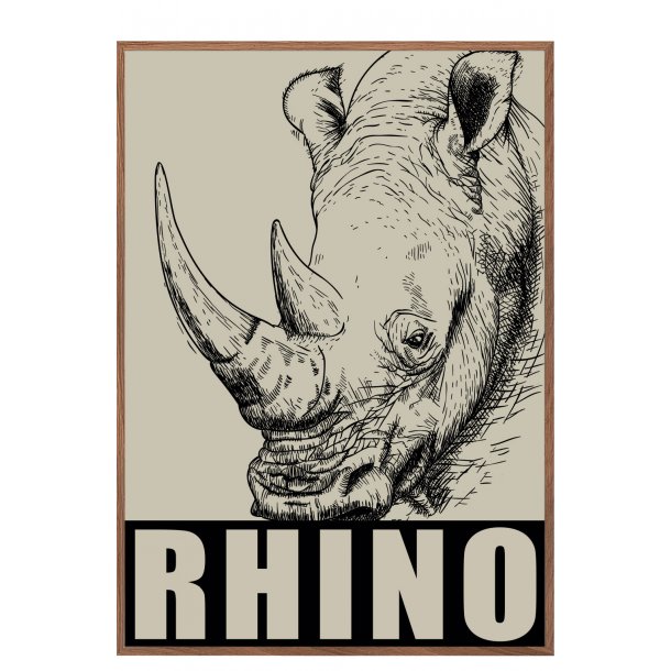 Nsehorn. Sebastian Klein