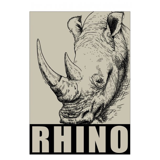 Rhinozeros. Sebastian Klein