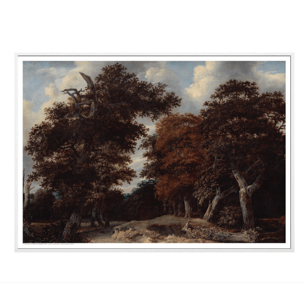 Isaacksz van Ruisdael, Vej gennem en egeskov