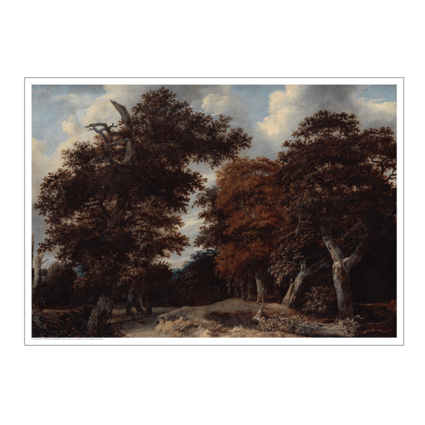Isaacksz van Ruisdael, Way through an oak forest