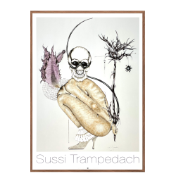 Sussi Trampedach ST15