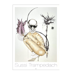 Sussi Trampedach ST15