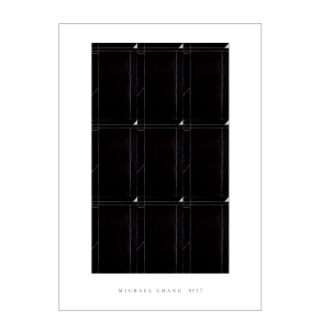 NR. 17, Michael Chang