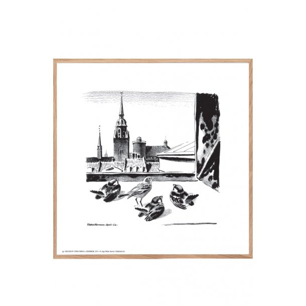 Spurve i Kbenhavn, Aage Sikker Hansen